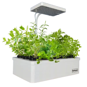 HomeGarden Hydroponik Anzuchtstation