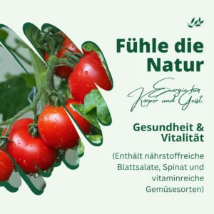 Samenvielfalt Indoor Garten Starter-Box | 6 Sorten