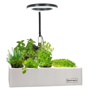 Indoor Garten Hydroponik Pro | MiniGarden mit LED