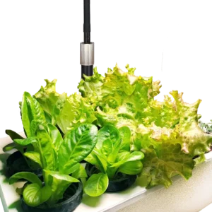 Salat Bar | Hydroponik Einstieg mit 15 Plätzen